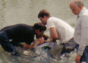 baptized_4.png